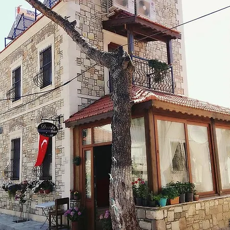 Deniz * ينيفوتشا